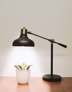 pexels-photo-1112598 Minimalistic desk lamp illuminating a succulent on a wooden table, perfect for interior design inspiration.